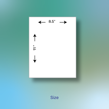 Page Size